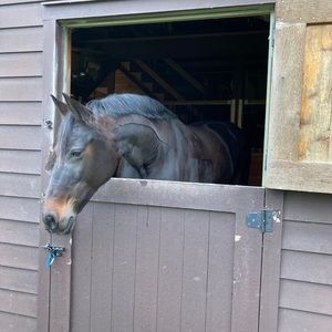 Meet your Posher, Susan